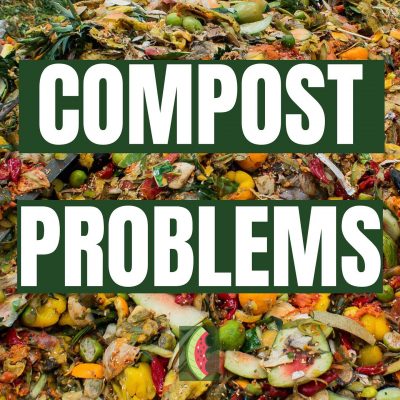 Common Ground Compost