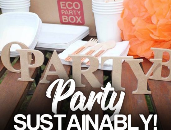 Eco Party Box