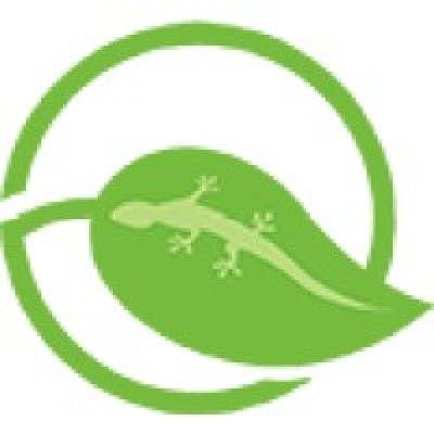 Eco-Gecko Creation Llc